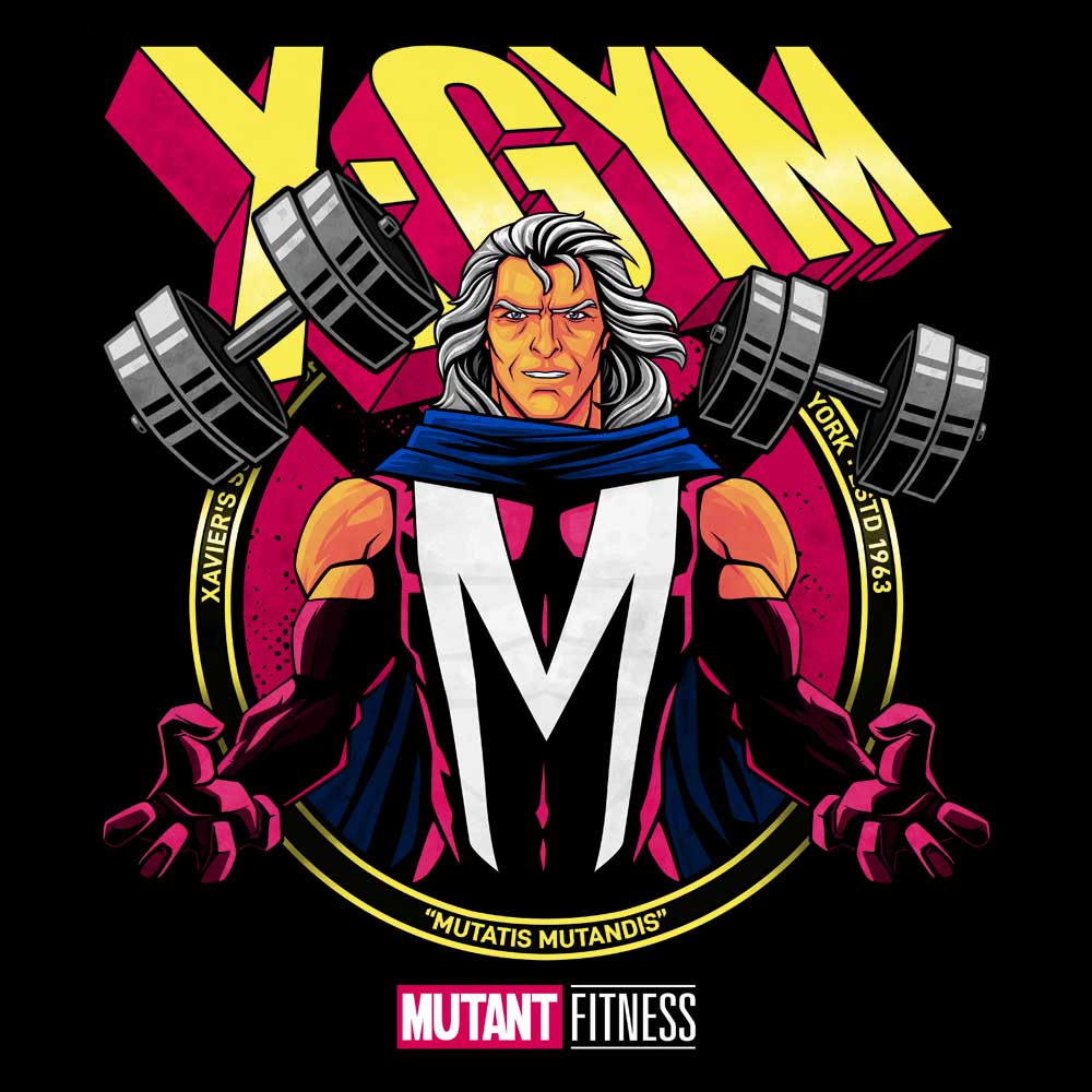 Magnetic X-Gym