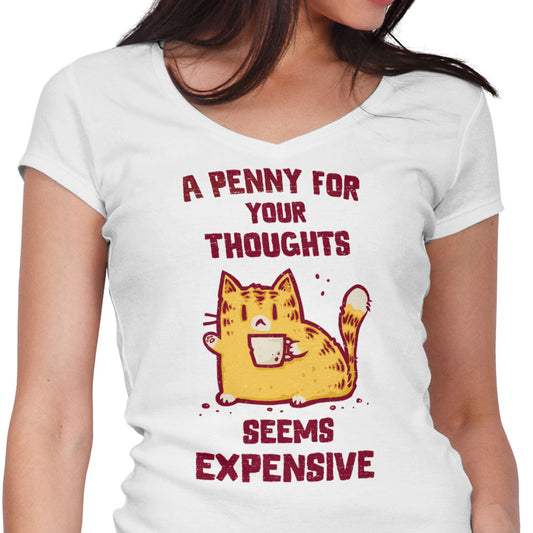A Penny Seems Expensive - Women's V-Neck