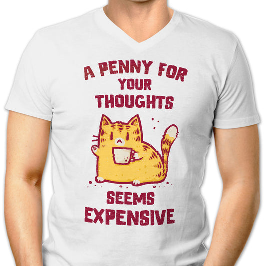 A Penny Seems Expensive - Men's V-Neck