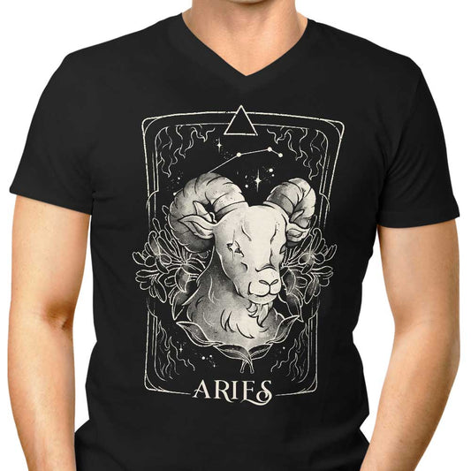 Aries (Edu.Ely) - Men's V-Neck