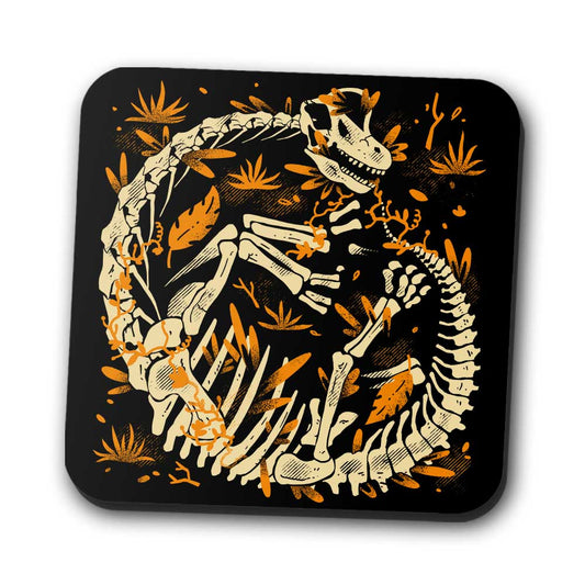 Brachio Fossils - Coasters