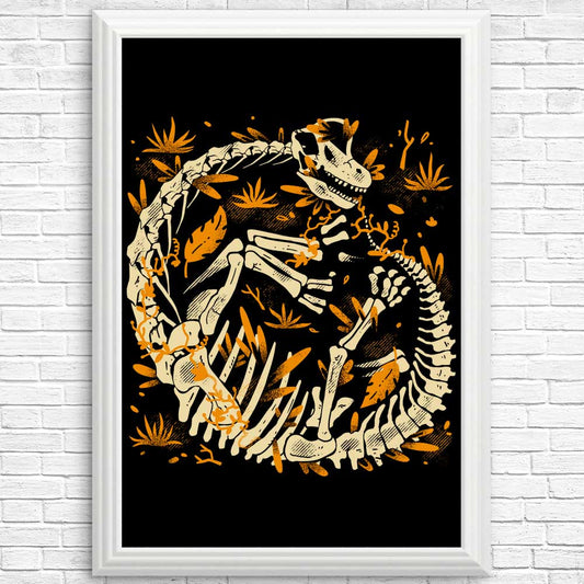 Brachio Fossils - Posters & Prints