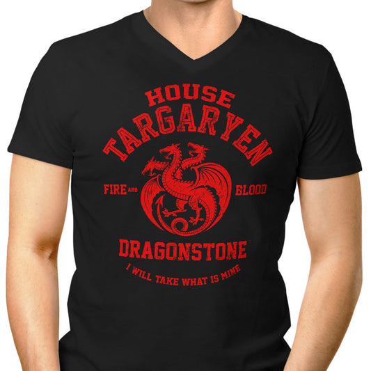 Fire and Blood - Men's V-Neck