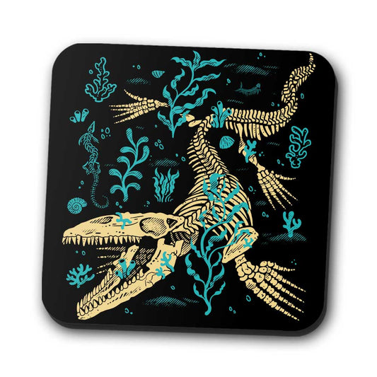 Mosasaurus Fossils - Coasters