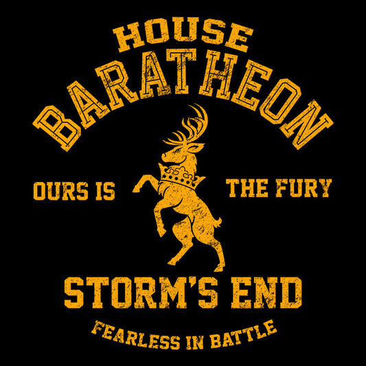 Ours is the Fury - Women's V-Neck