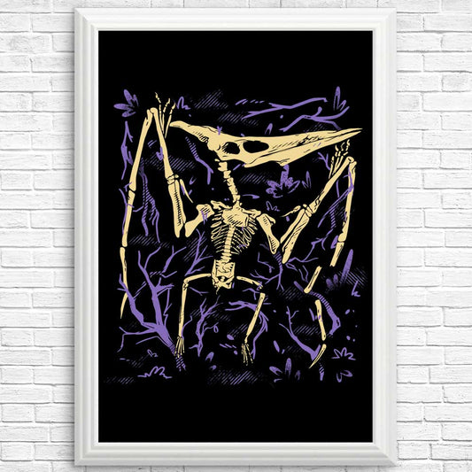 Pteranodon Fossils - Posters & Prints