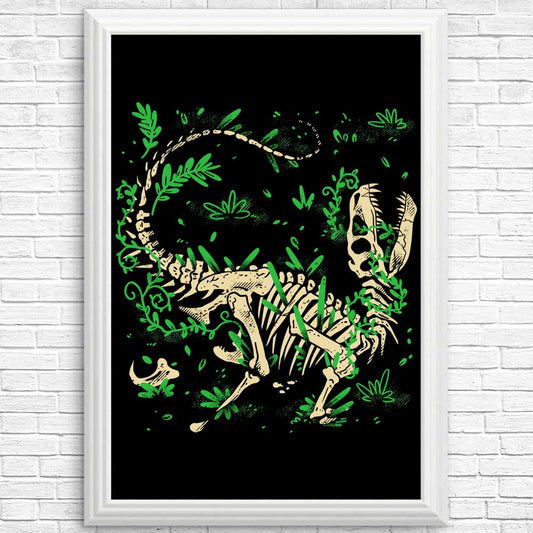 Raptor Fossils - Posters & Prints