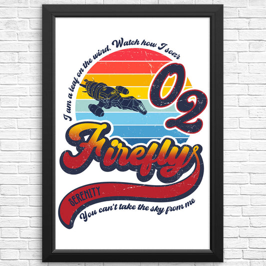 Retro Soaring - Posters & Prints