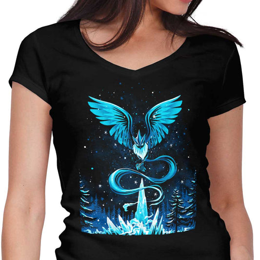 Snowstorm Blizzard - Women's V-Neck