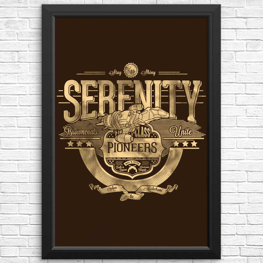 Space Pioneers - Posters & Prints