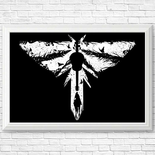 The Lost Light - Posters & Prints