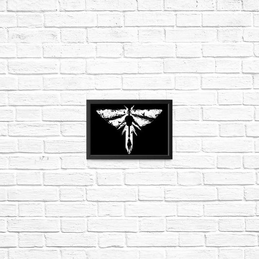 The Lost Light - Posters & Prints