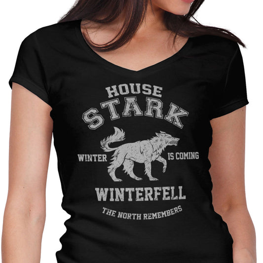 Winter is Coming - Women's V-Neck