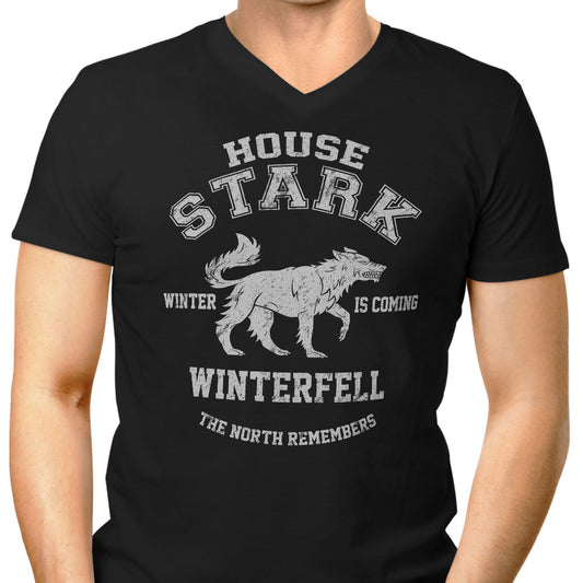 Winter is Coming - Men's V-Neck