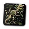Dilophosaurus Fossils - Coasters