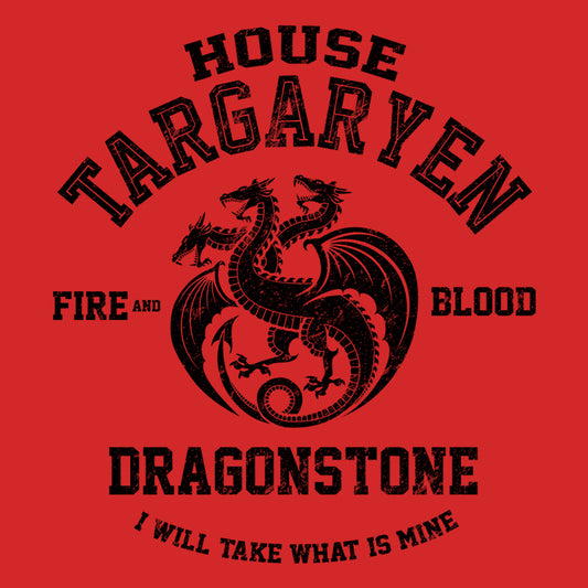 Fire and Blood (Alt) - Throw Pillow