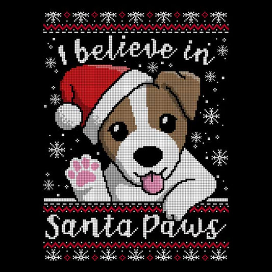 I Believe in Santa Paws - Coasters