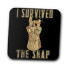 I Survived the Decimation - Coasters