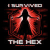 I Survived the Hex - Metal Print