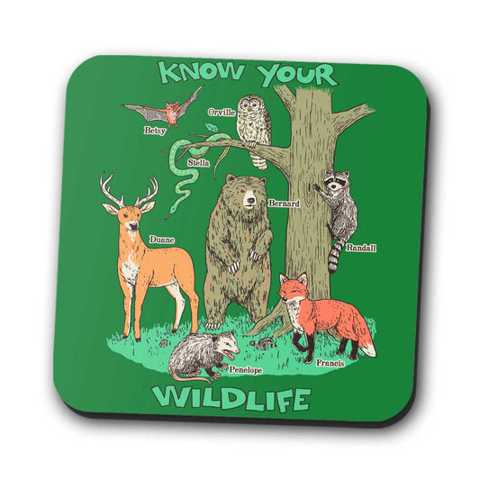Know Your Wildlife - Coasters