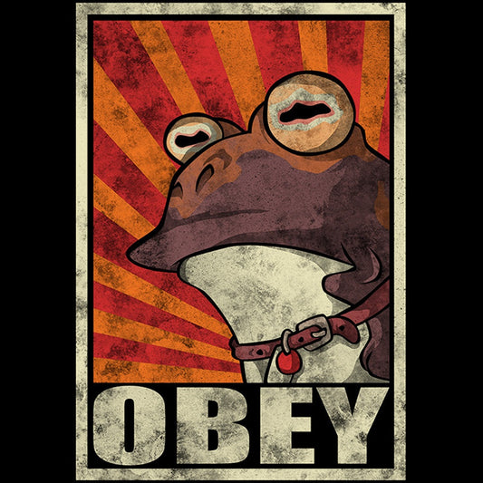 Obey the Hypnotoad - Coasters