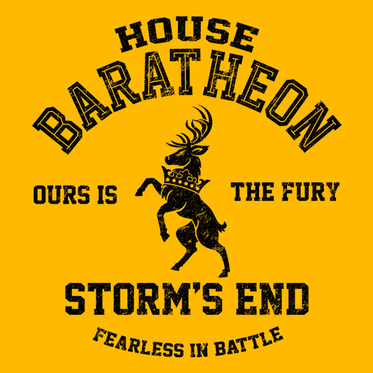 Ours is the Fury (Alt) - Youth Apparel