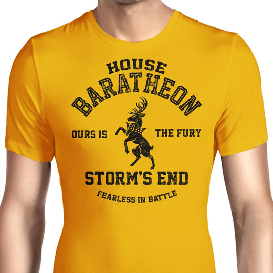 Ours is the Fury (Alt) - Men's Apparel