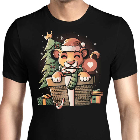 Pride Gift - Men's Apparel