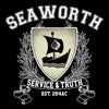 Seaworth University - Towel