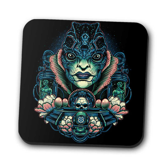 The Kind Amphibian - Coasters