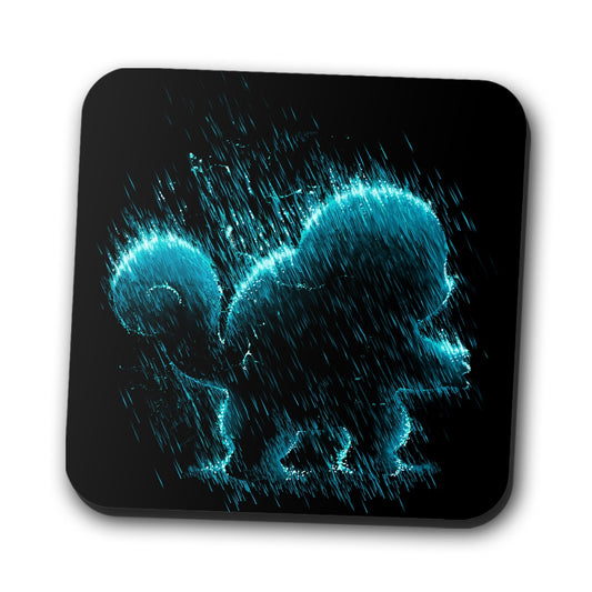 Water Type - Coasters