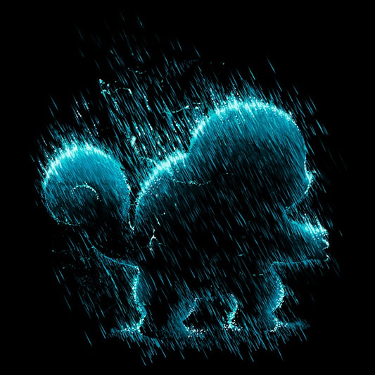 Water Type - Accessory Pouch