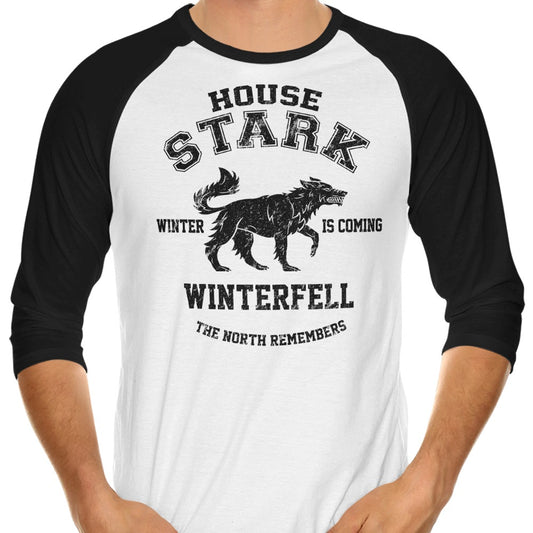Winter is Coming (Alt) - 3/4 Sleeve Raglan T-Shirt