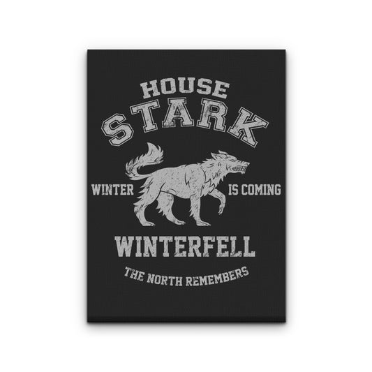 Winter is Coming - Canvas Print