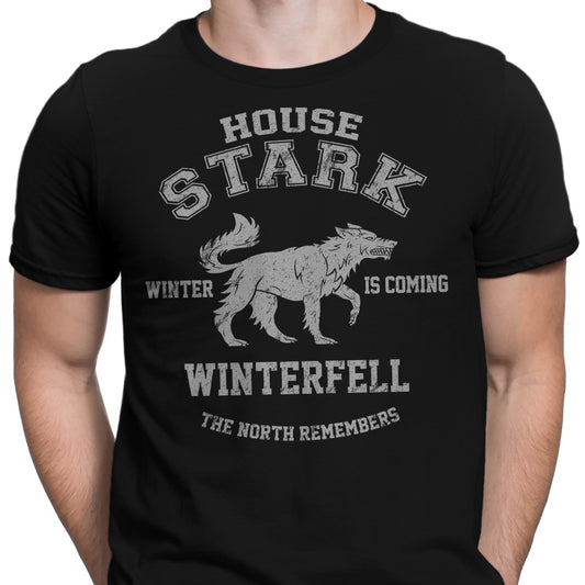 Winter is Coming - Men's Apparel