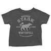 Winter is Coming - Youth Apparel