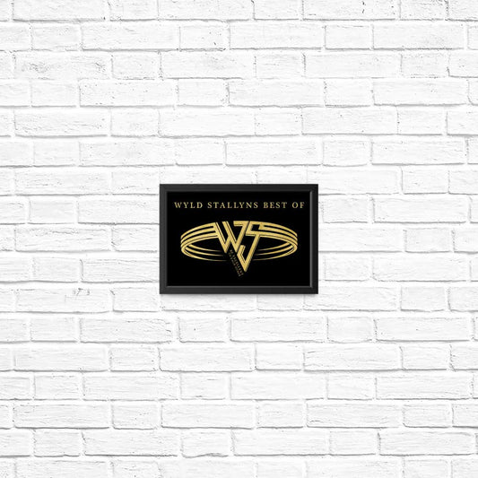 Wyld Stallyns Best Of - Posters & Prints