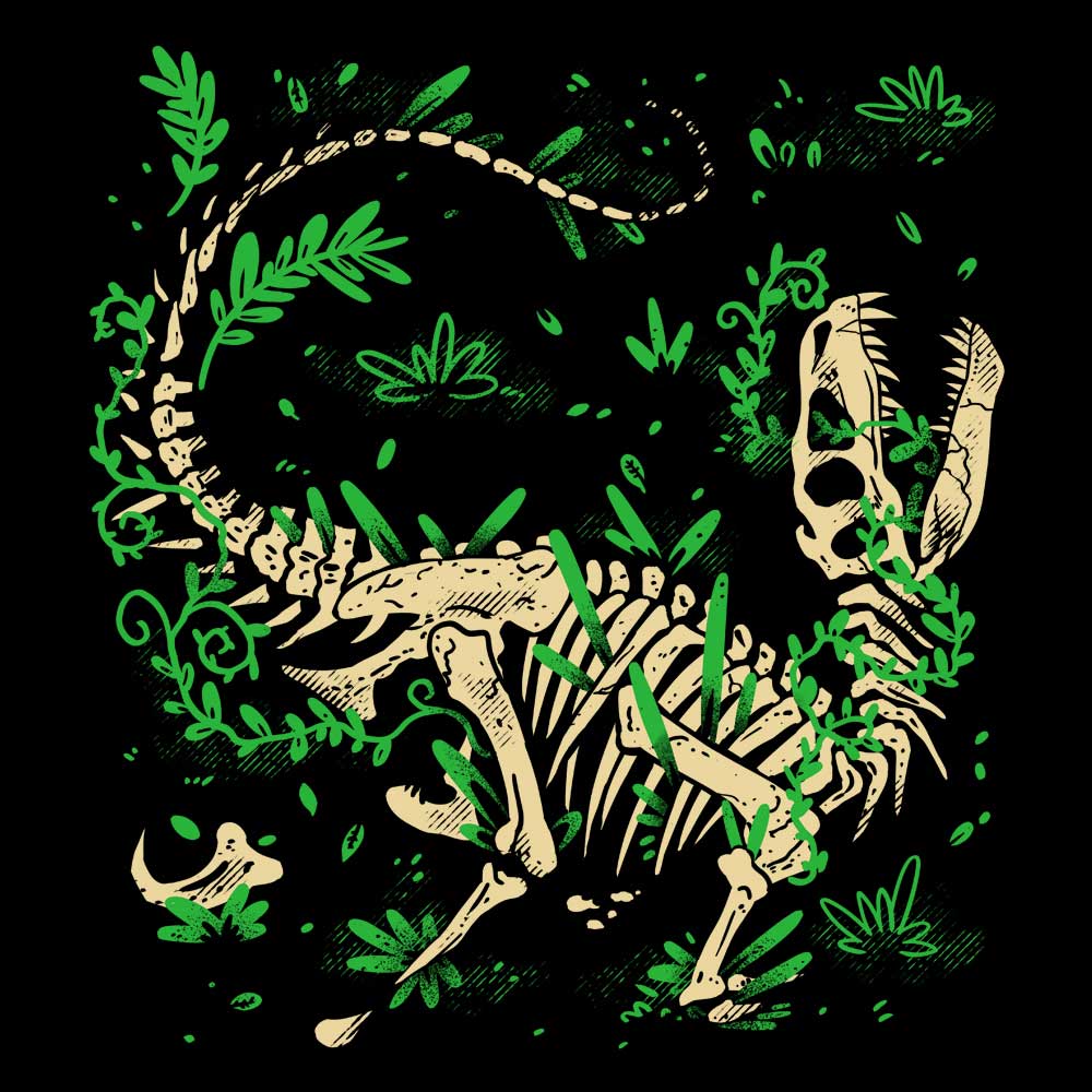Raptor Fossils