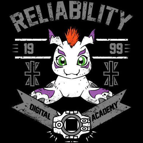 Reliability Academy