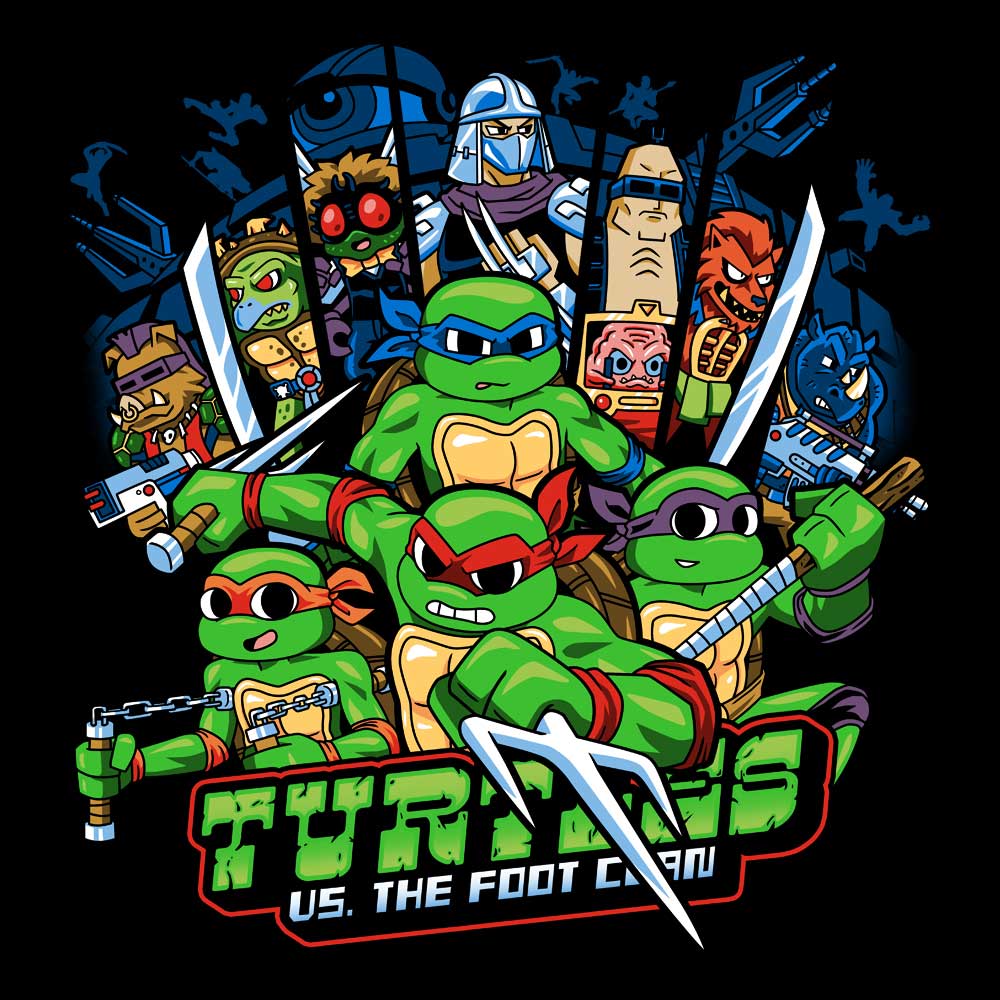 Turtle Pilgrim