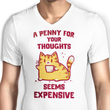 A Penny Seems Expensive - Men's V-Neck