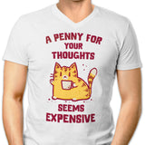 A Penny Seems Expensive - Men's V-Neck