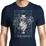 Aquarius (Edu.Ely) - Men's Apparel