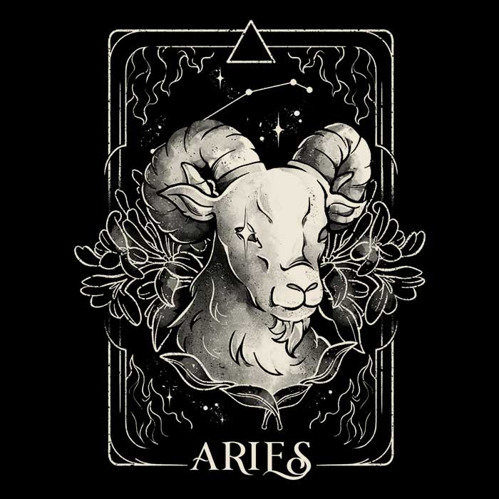 Aries (Edu.Ely) - Hoodie