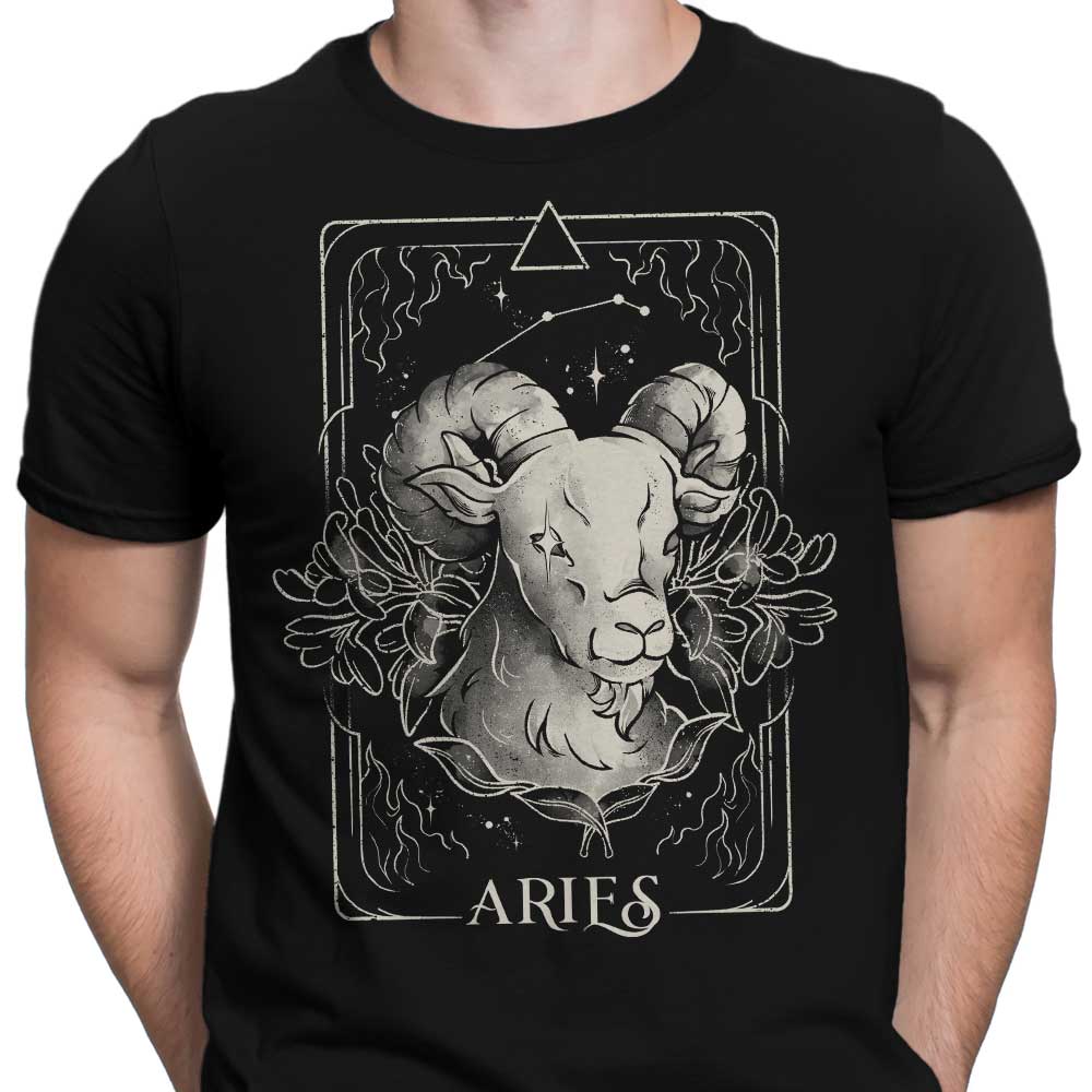 Aries (Edu.Ely) - Men's Apparel