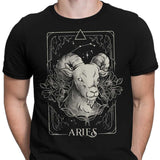 Aries (Edu.Ely) - Men's Apparel