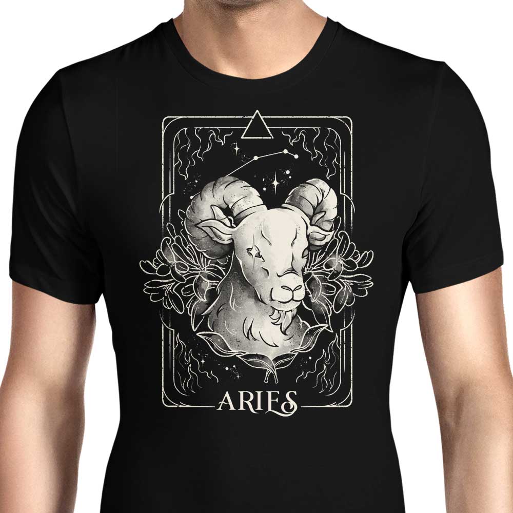Aries (Edu.Ely) - Men's Apparel