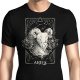 Aries (Edu.Ely) - Men's Apparel