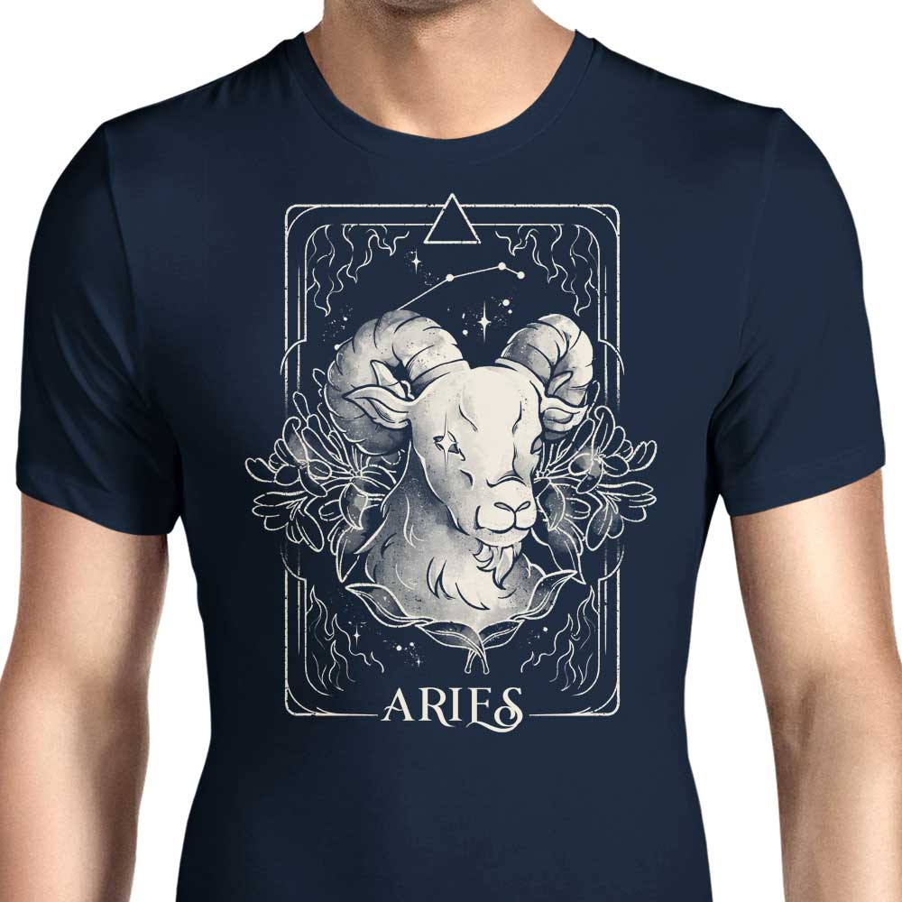 Aries (Edu.Ely) - Men's Apparel