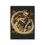 Brachio Fossils - Canvas Print
